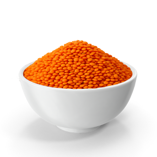 Masoor Gota​ exporter