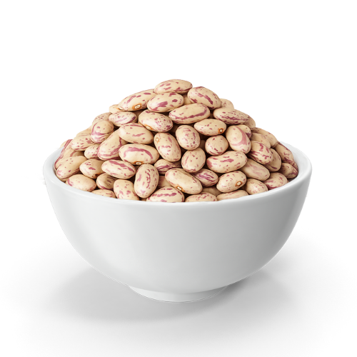Rajma White (Chitra) exporter