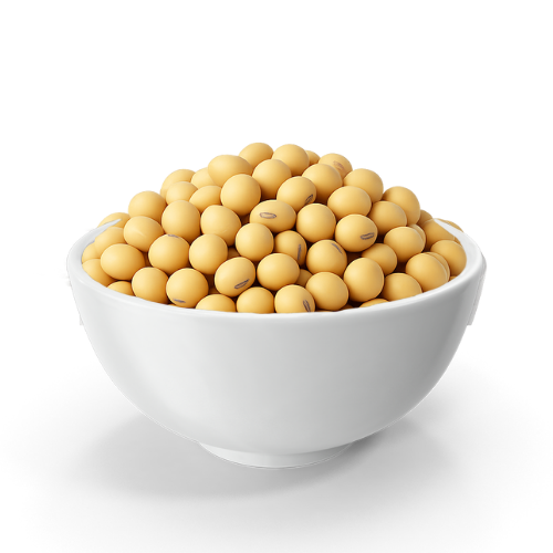 Soya Bean​ exporter